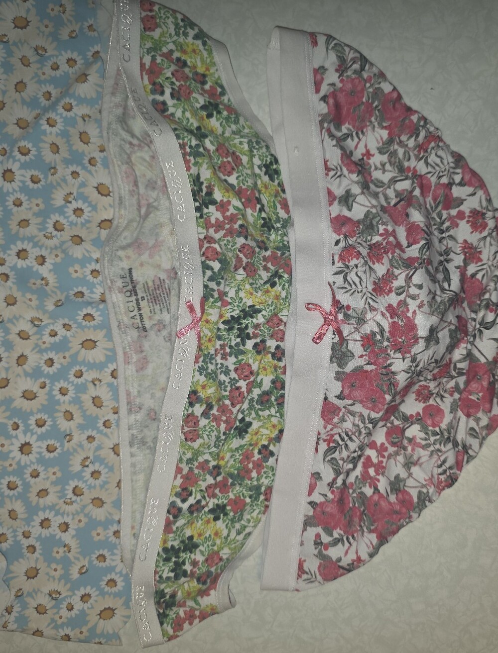 Cacique Pink Floral Cotton Blend Bikini Panty